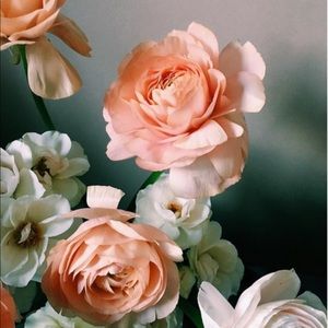 Meet your Posher, Vh